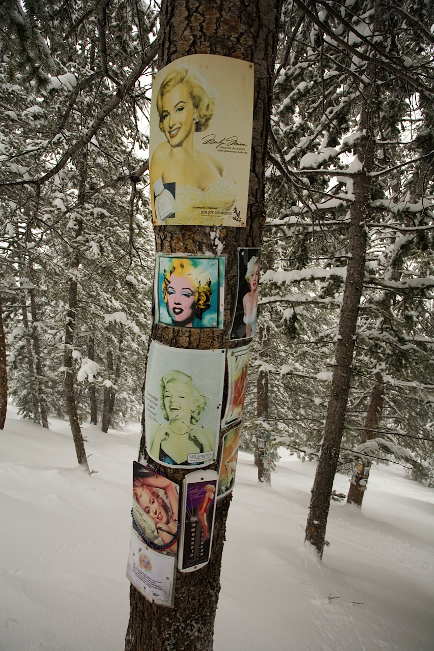 Aspen-Marilyn-Monroe-shrine