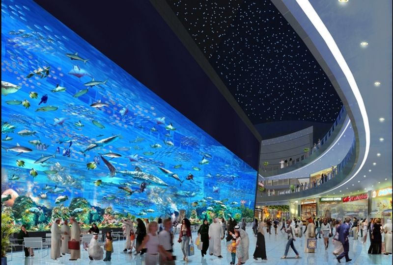 The dubai mall aquarium