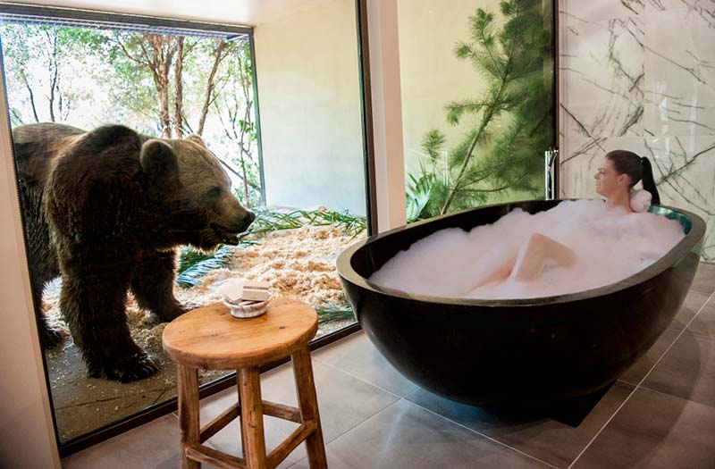 Jamala_bath with sun bears