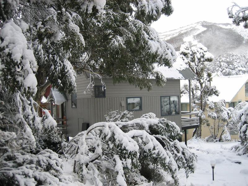 Thredbo-view