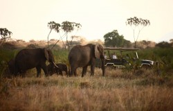 Kenya’s Top 3 Luxury Safari Destinations