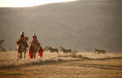 Top 3 Family Friendly Safari Camps In Kenya