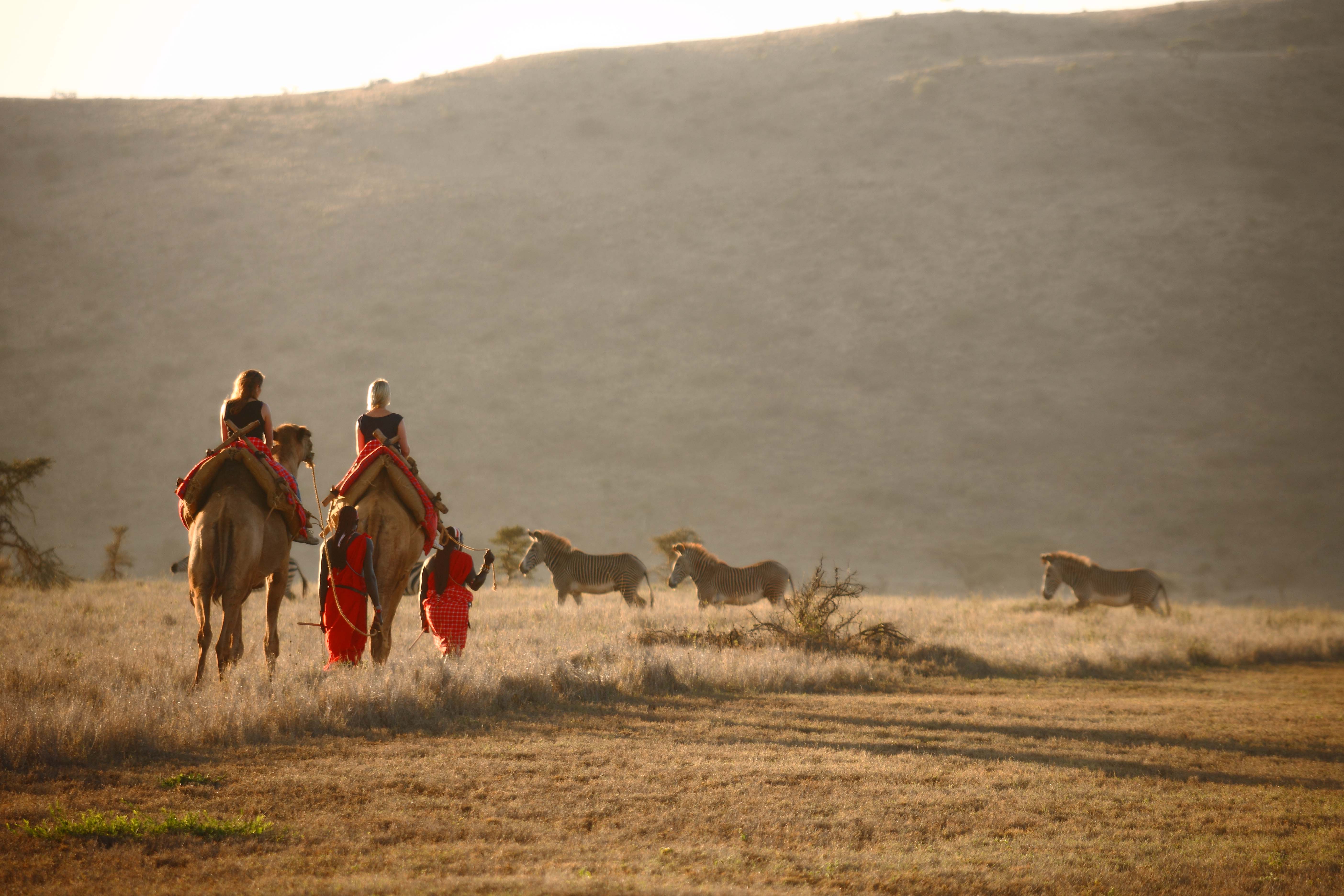 Lewa Safari Camp - Camel Trekking