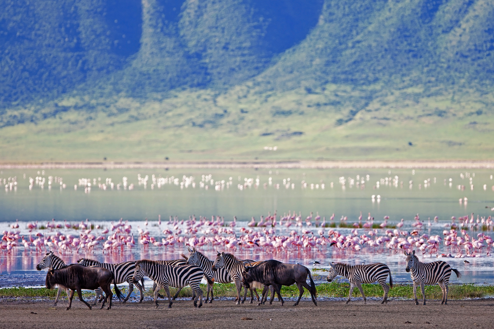 Ngorongoro-crater