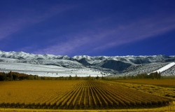 Argentina – Wild West Meets Luxury In Mendoza Wine Country