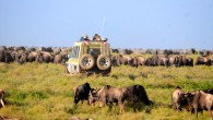 Safari in Serengeti, Tanzania