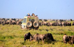 Five Intimate Safari Experiences In Tanzania